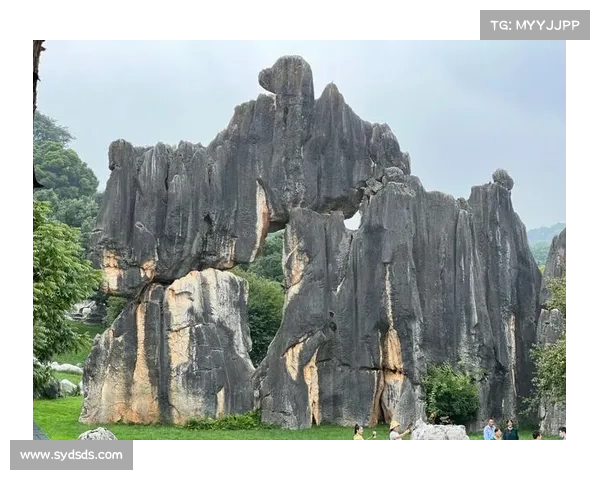 云南高尔夫旅游季启动 石林球场推出买一送一优惠活动 云南高尔夫旅游季启动 石林球场推出买一送一优惠活动