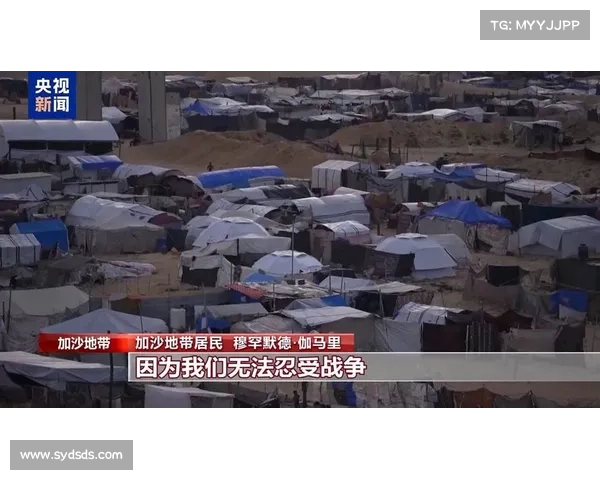光芒队牛棚危机加剧 麦克拉纳汉肩伤影响轮值稳定 光芒队牛棚危机加剧 麦克拉纳汉肩伤影响轮值稳定